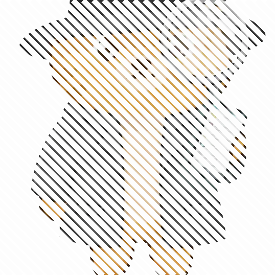 Spybroski
